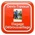 DEVIS-TRAVAUX-GRATUITS-Elagage - Débroussaillage