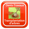 DEVIS-TRAVAUX-GRATUITS-Transplantation