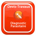 devis-travaux-Diagnostic Diagnostic parasitaire termites, merules, charançons