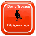 devis-travaux-Dépigeonnage-RENNES