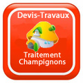 devis-travaux-Traitement champignons-RENNES